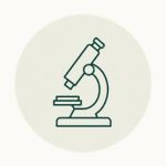 Dental Microscope